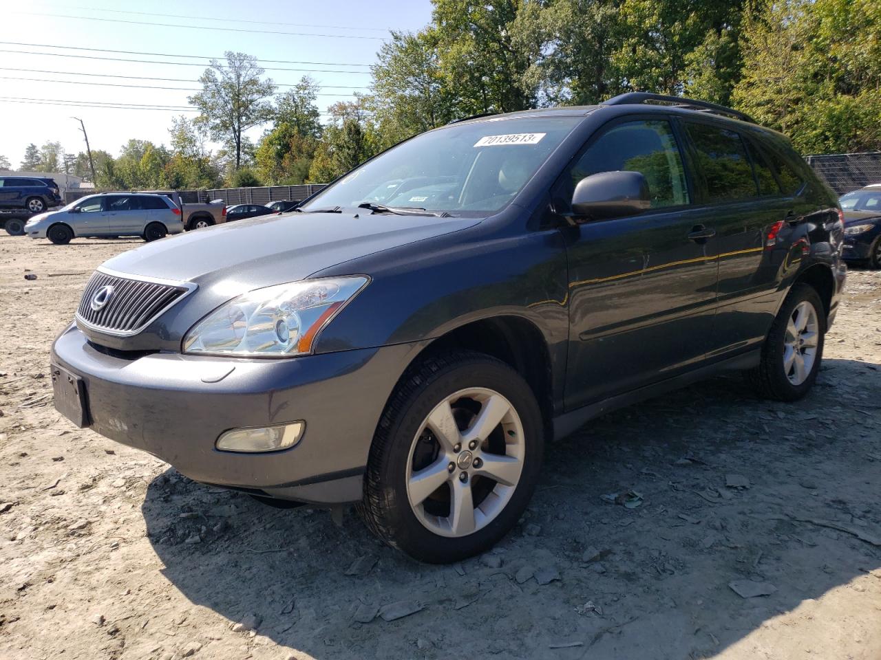 LEXUS RX 2004 2t2ha31u54c036096