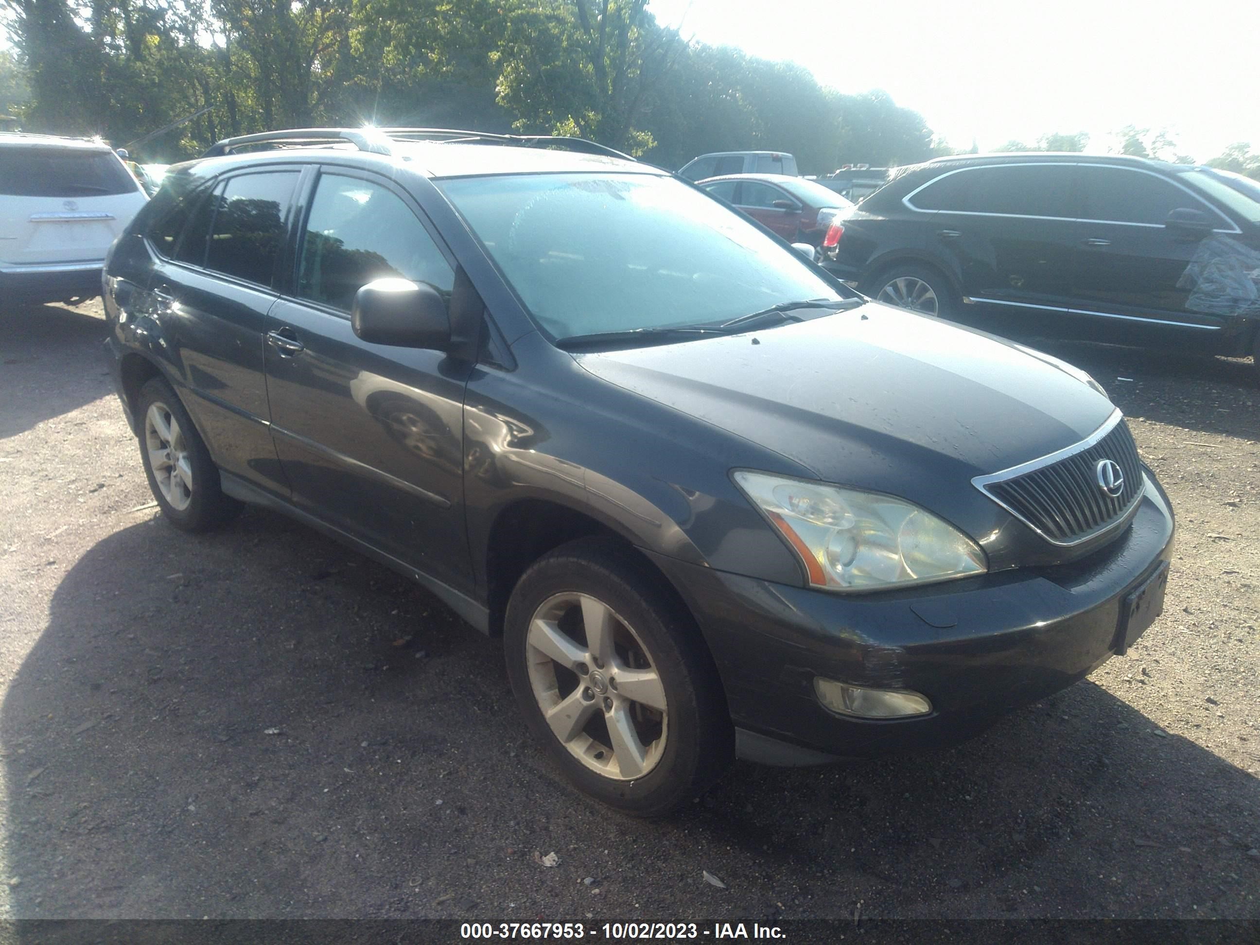 LEXUS RX 2004 2t2ha31u64c005102