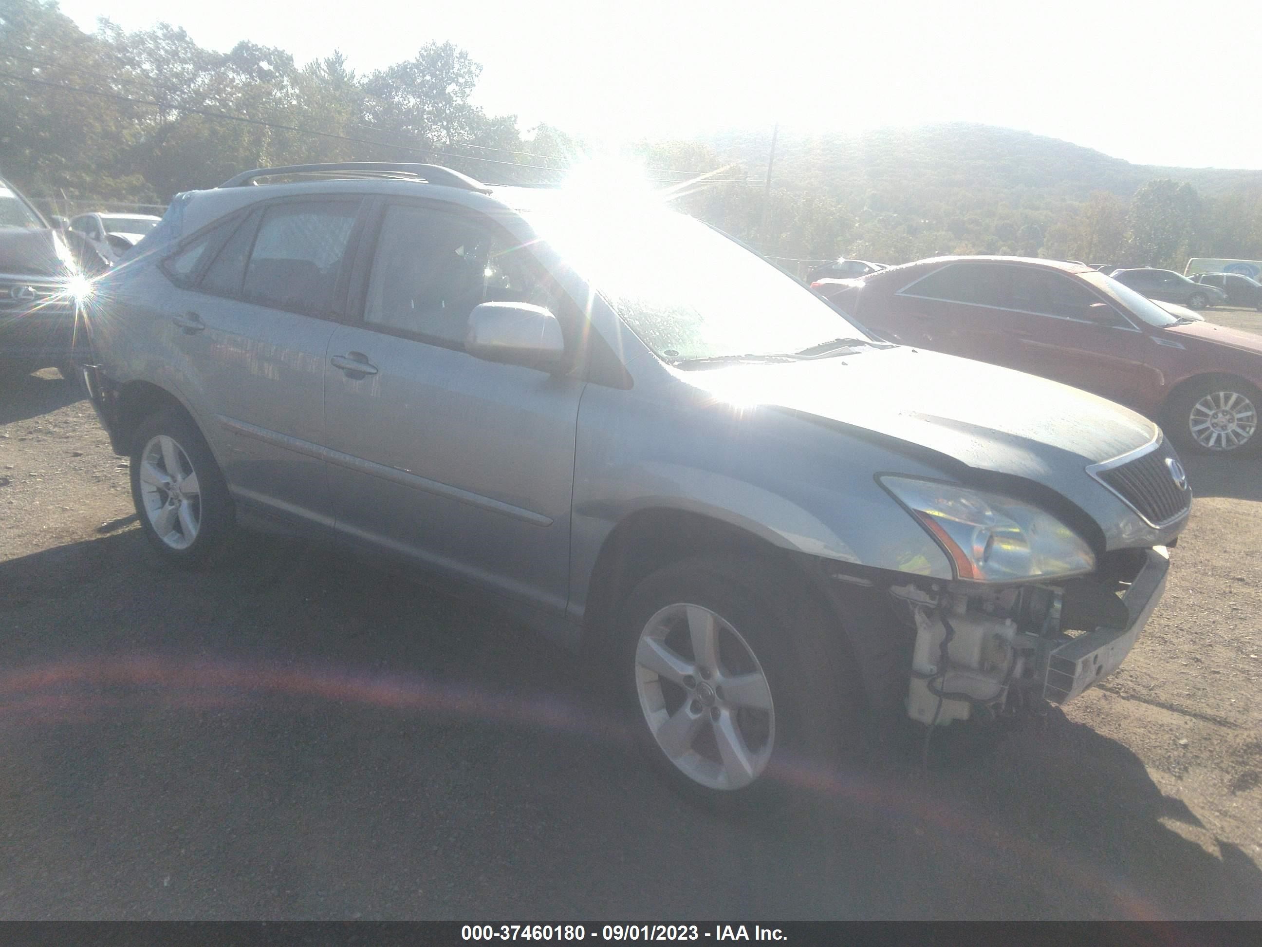 LEXUS RX 2004 2t2ha31u64c037712