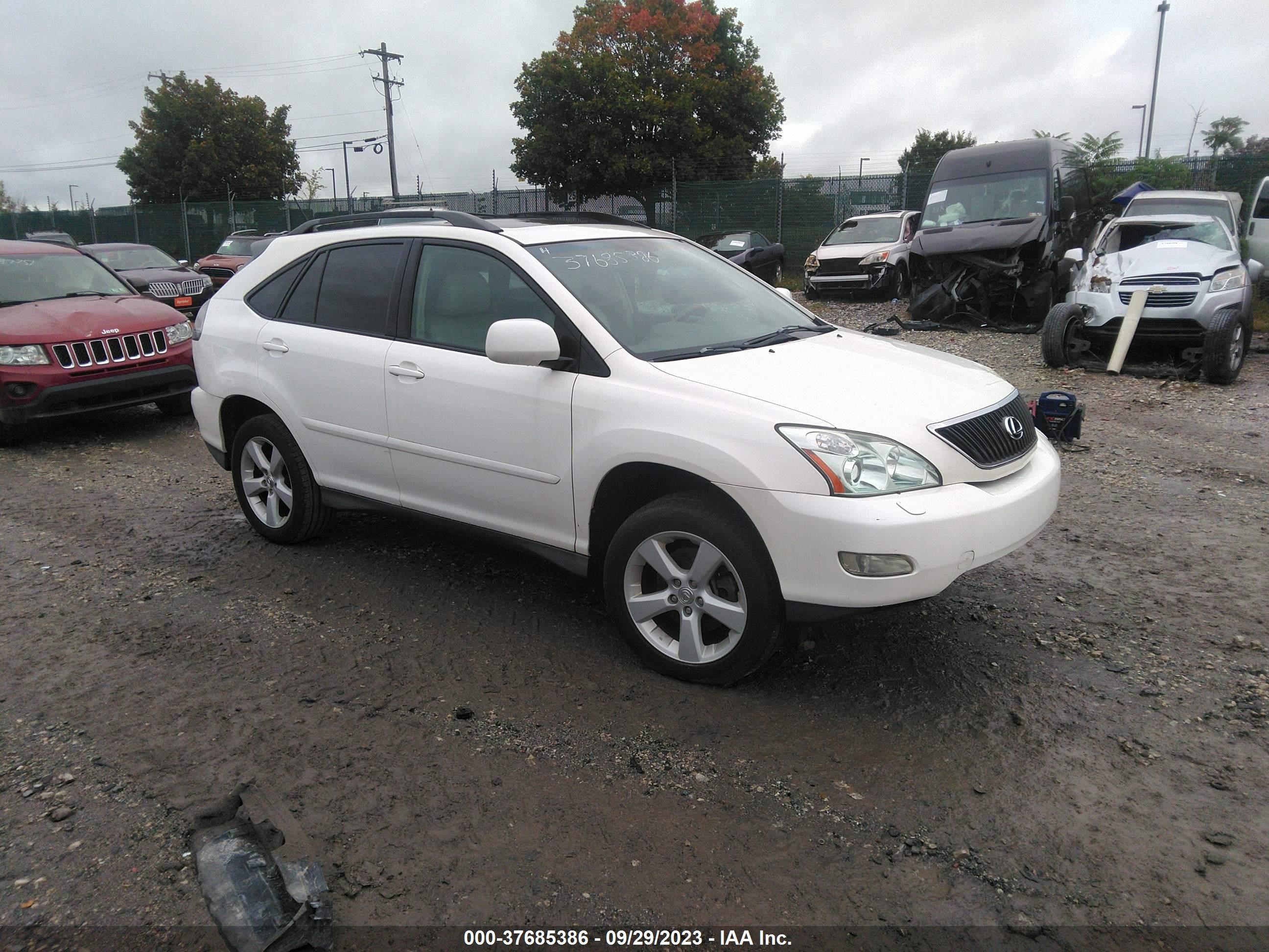 LEXUS RX 2006 2t2ha31u66c109155