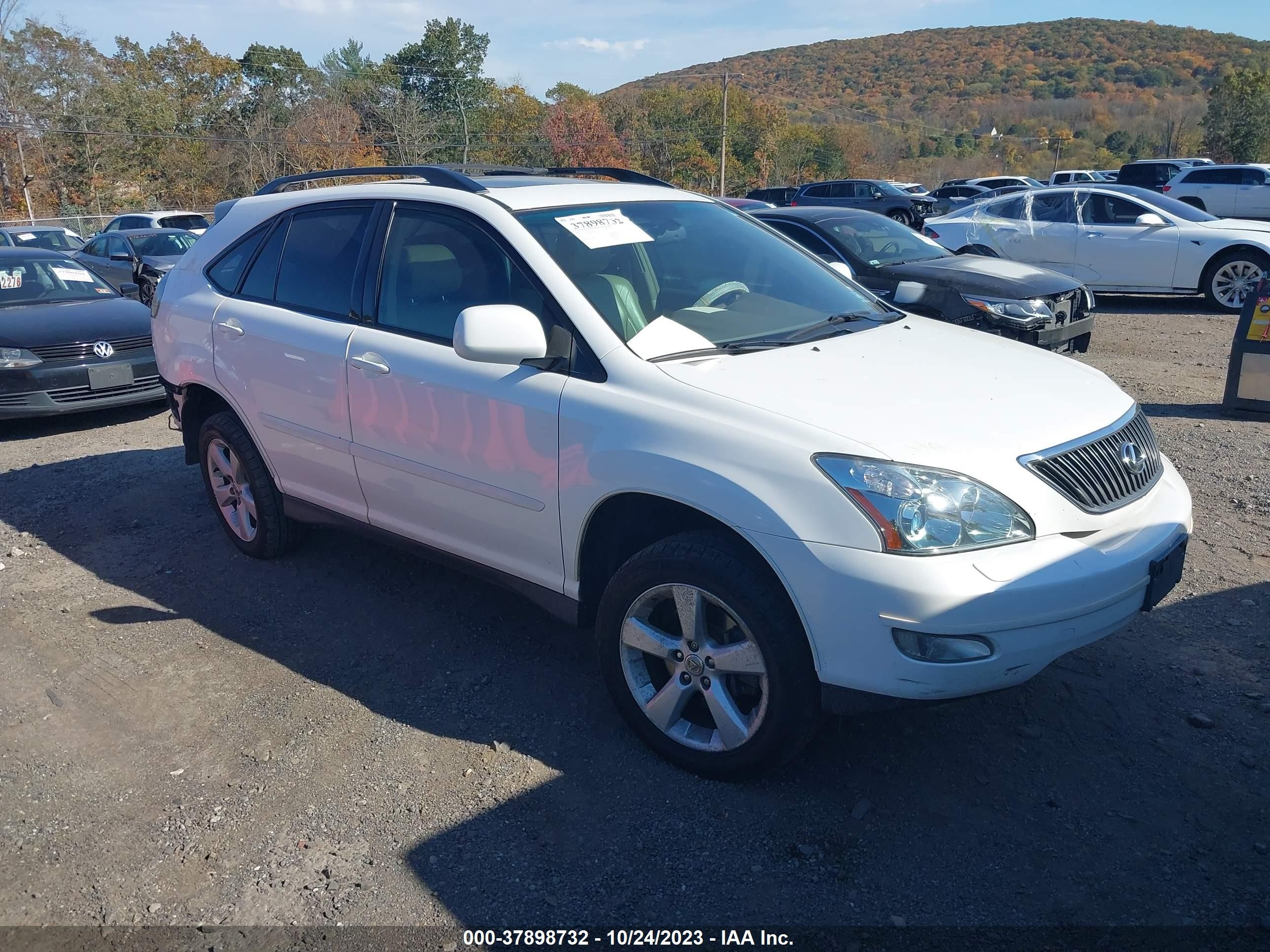 LEXUS RX 2004 2t2ha31u84c006378