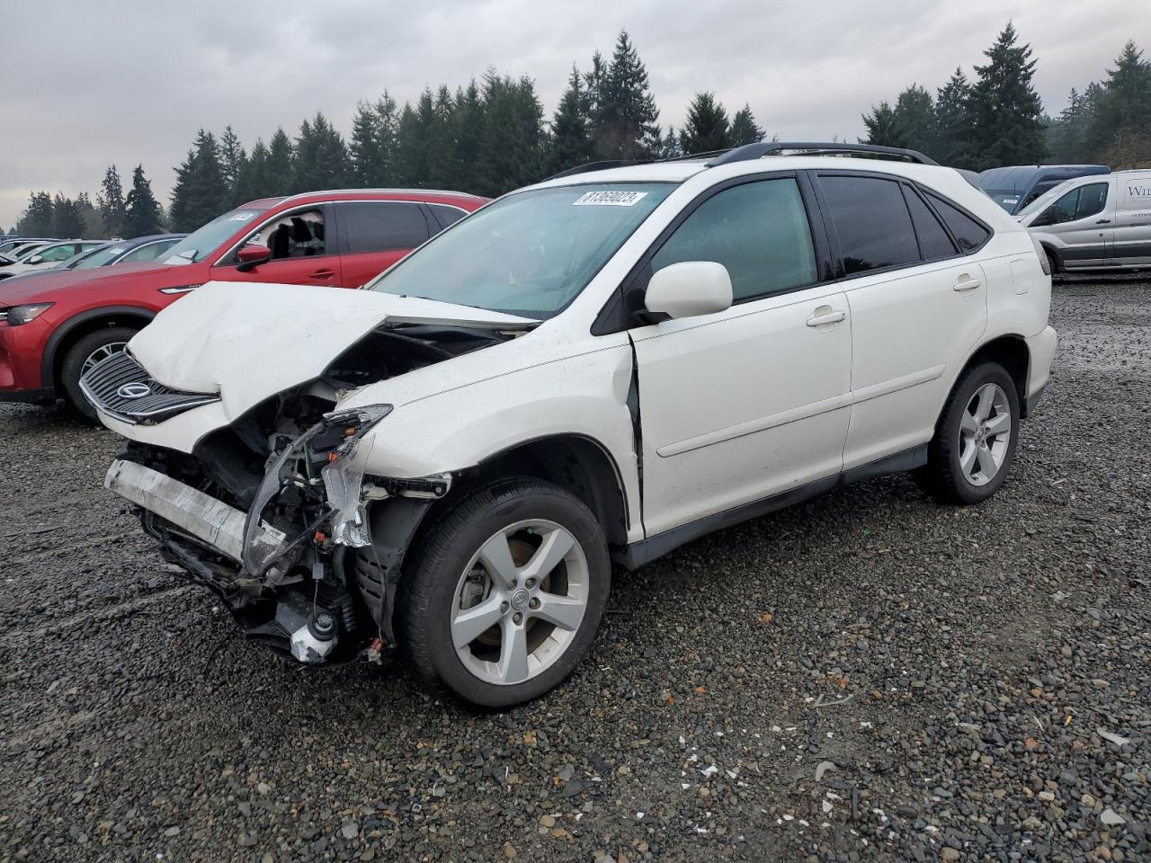 LEXUS RX 2006 2t2ha31u86c090155