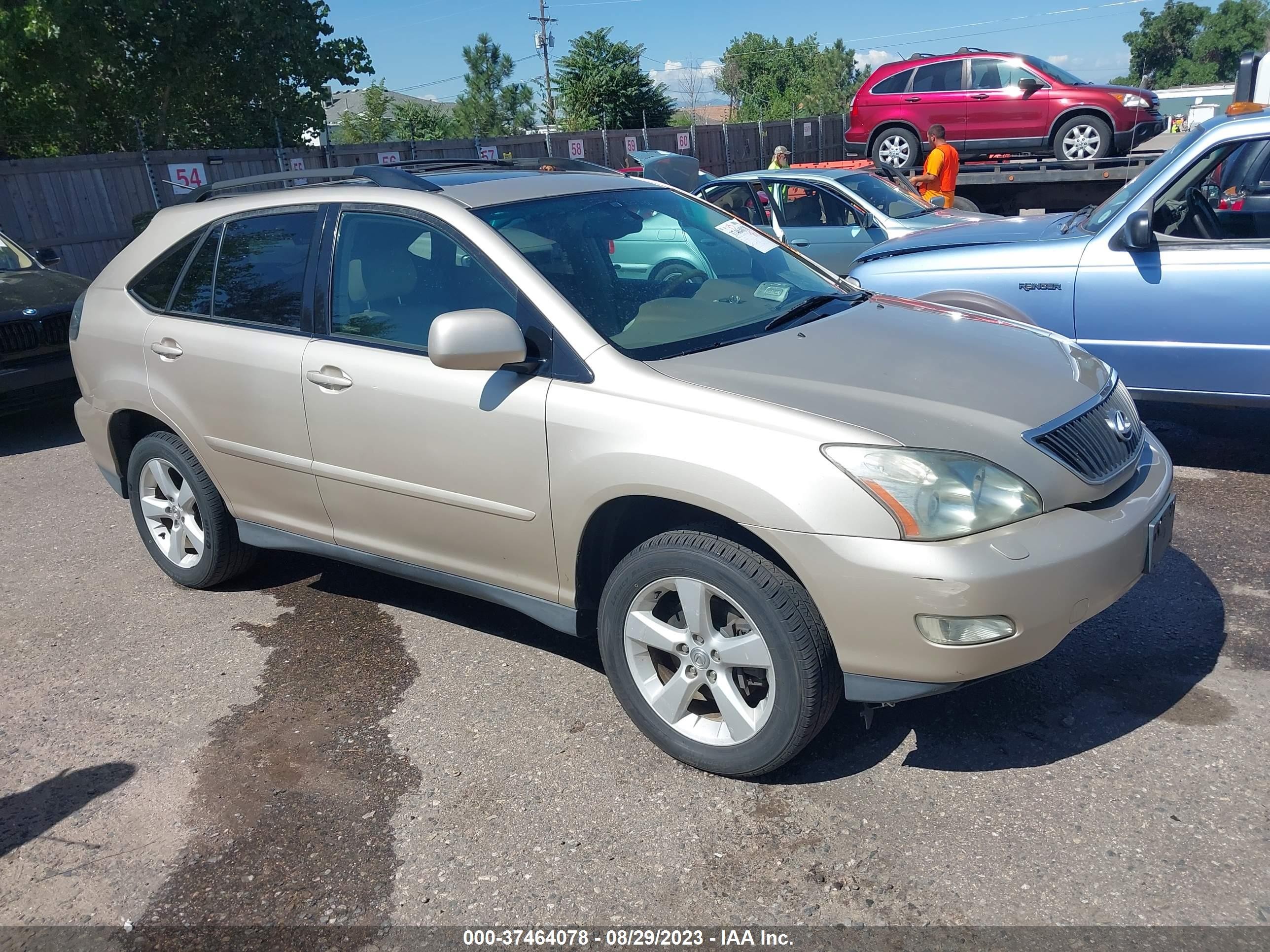 LEXUS RX 2004 2t2ha31u94c003974