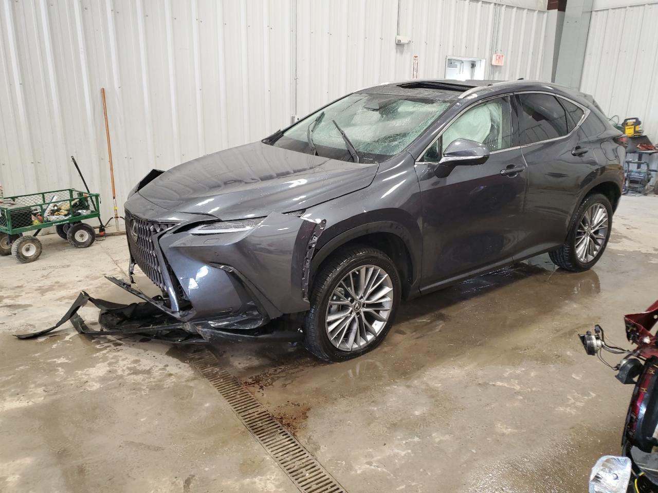 LEXUS NX 2023 2t2hgcez3pc026465