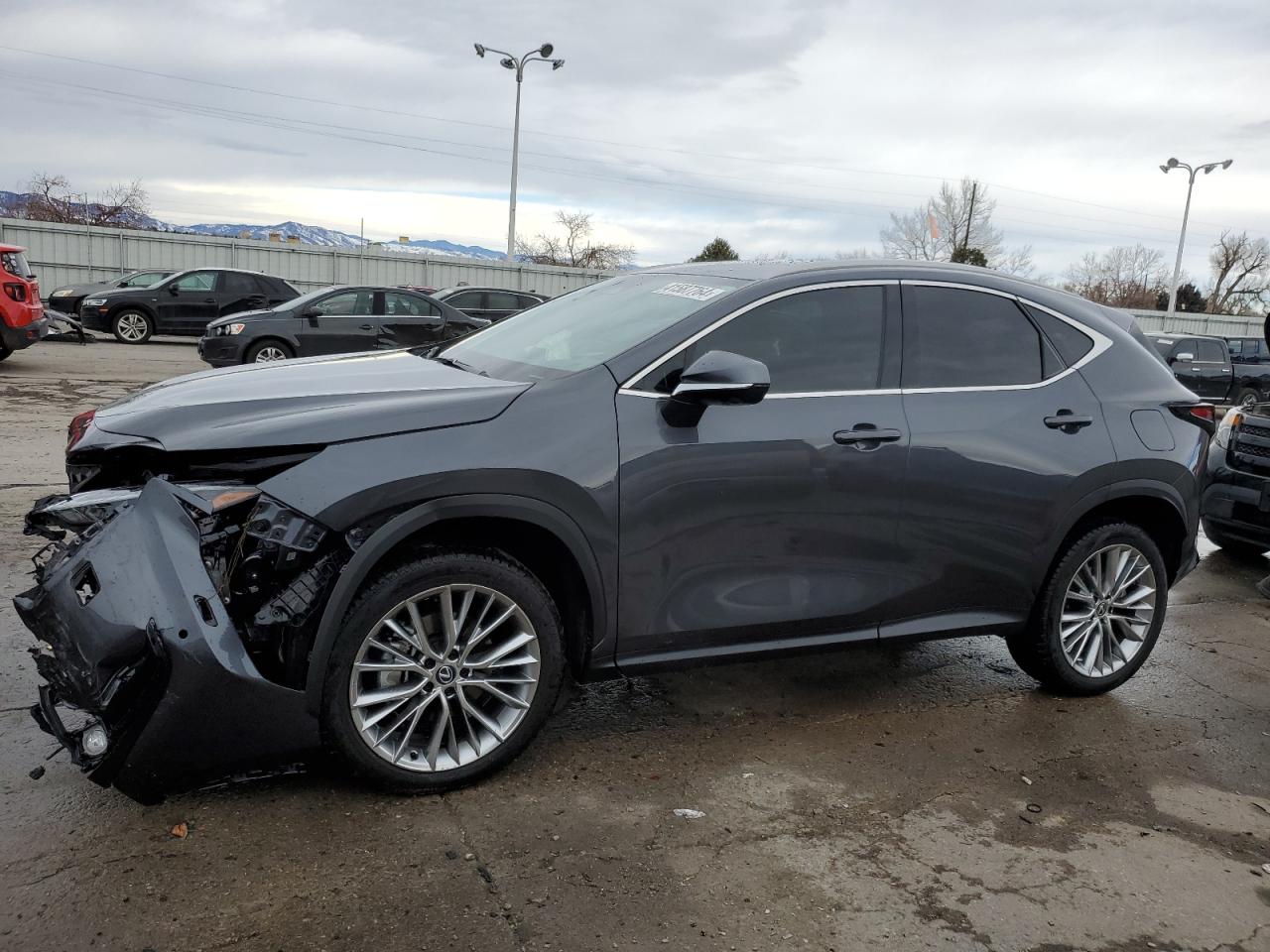 LEXUS NX 2024 2t2hgcez3rc033452