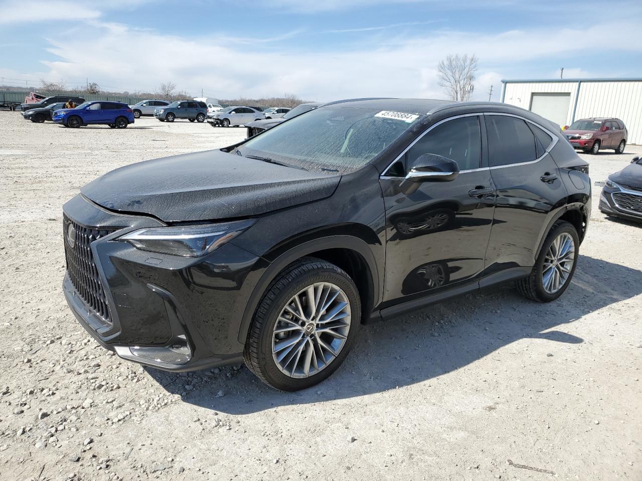 LEXUS NX 2023 2t2hgcez5pc023454