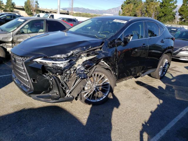 LEXUS NX 350 2022 2t2hgcez6nc010256