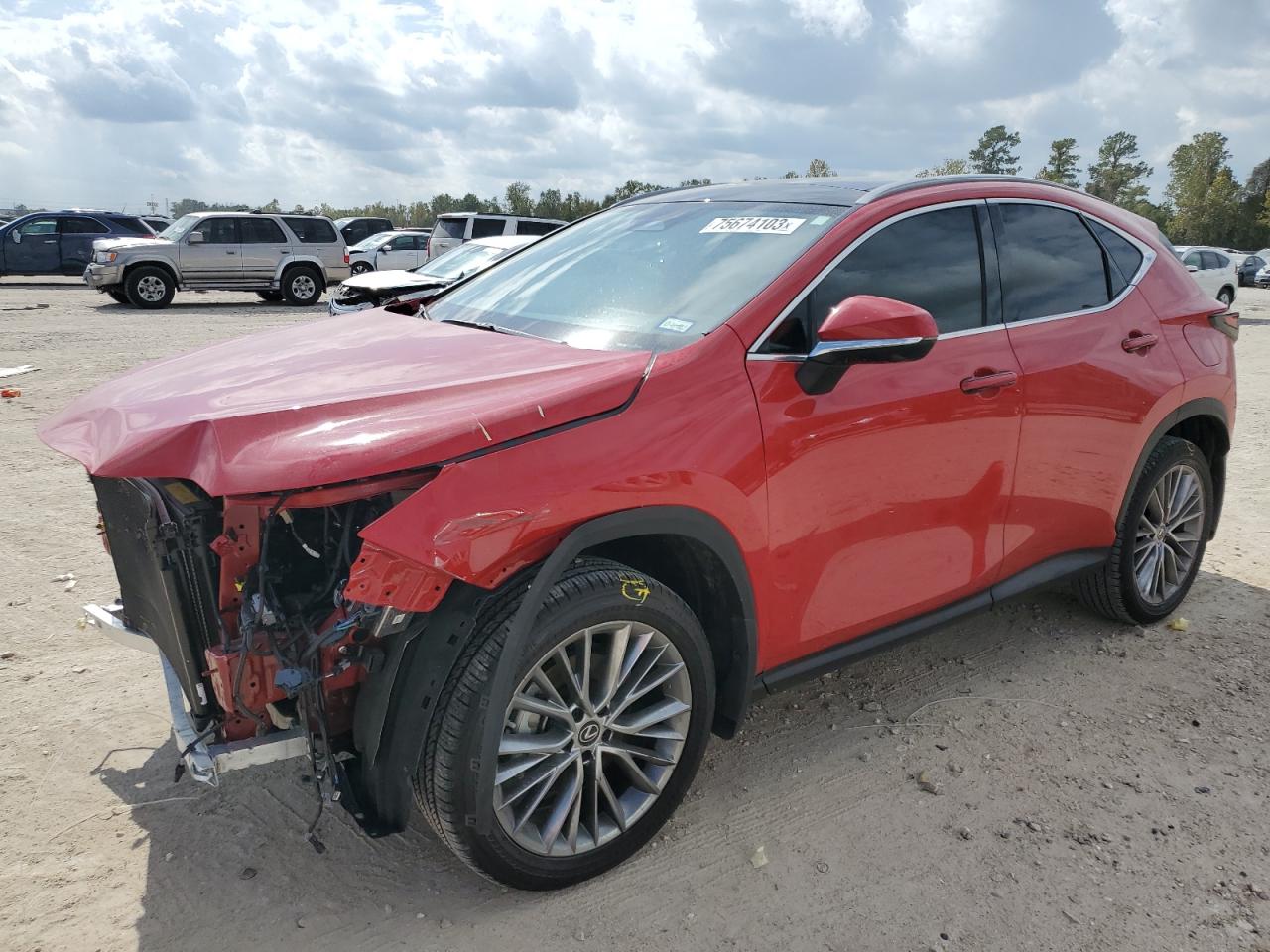 LEXUS NX 2023 2t2hgcez6pc029652