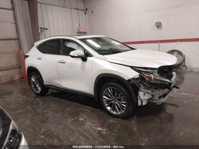 LEXUS NX 2022 2t2hgcez7nc010069