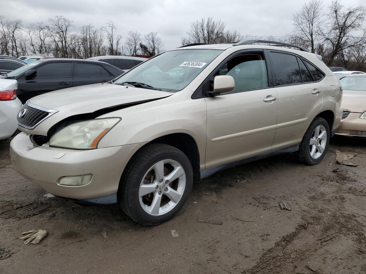 LEXUS RX 2008 2t2hk31u18c062391