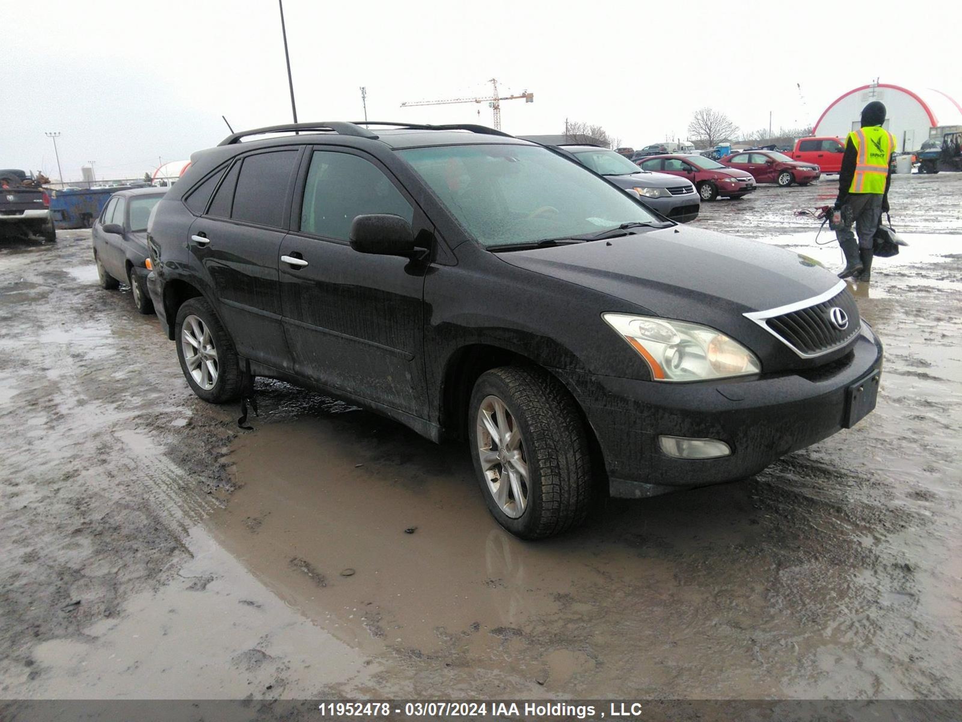 LEXUS RX 2009 2t2hk31u19c106164