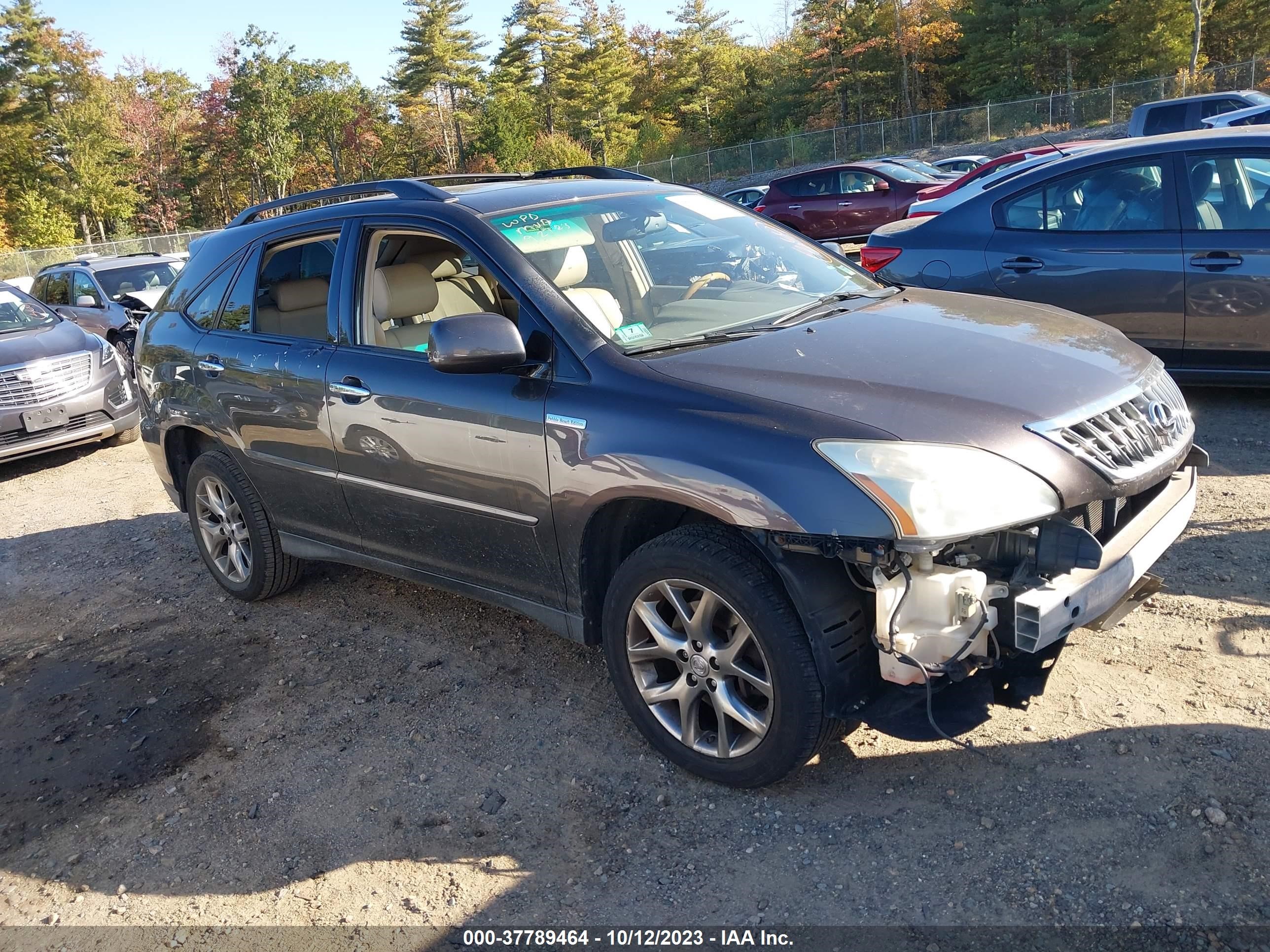 LEXUS RX 2009 2t2hk31u19c106794