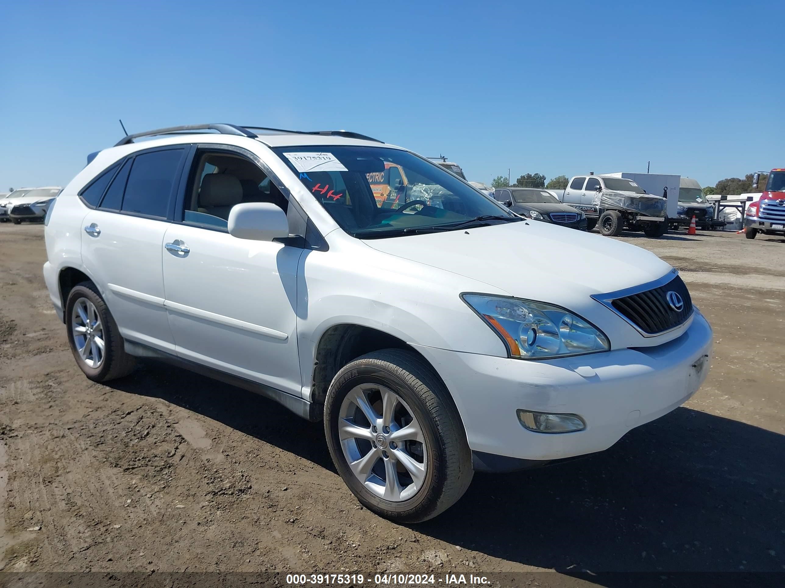 LEXUS RX 2009 2t2hk31u19c131369