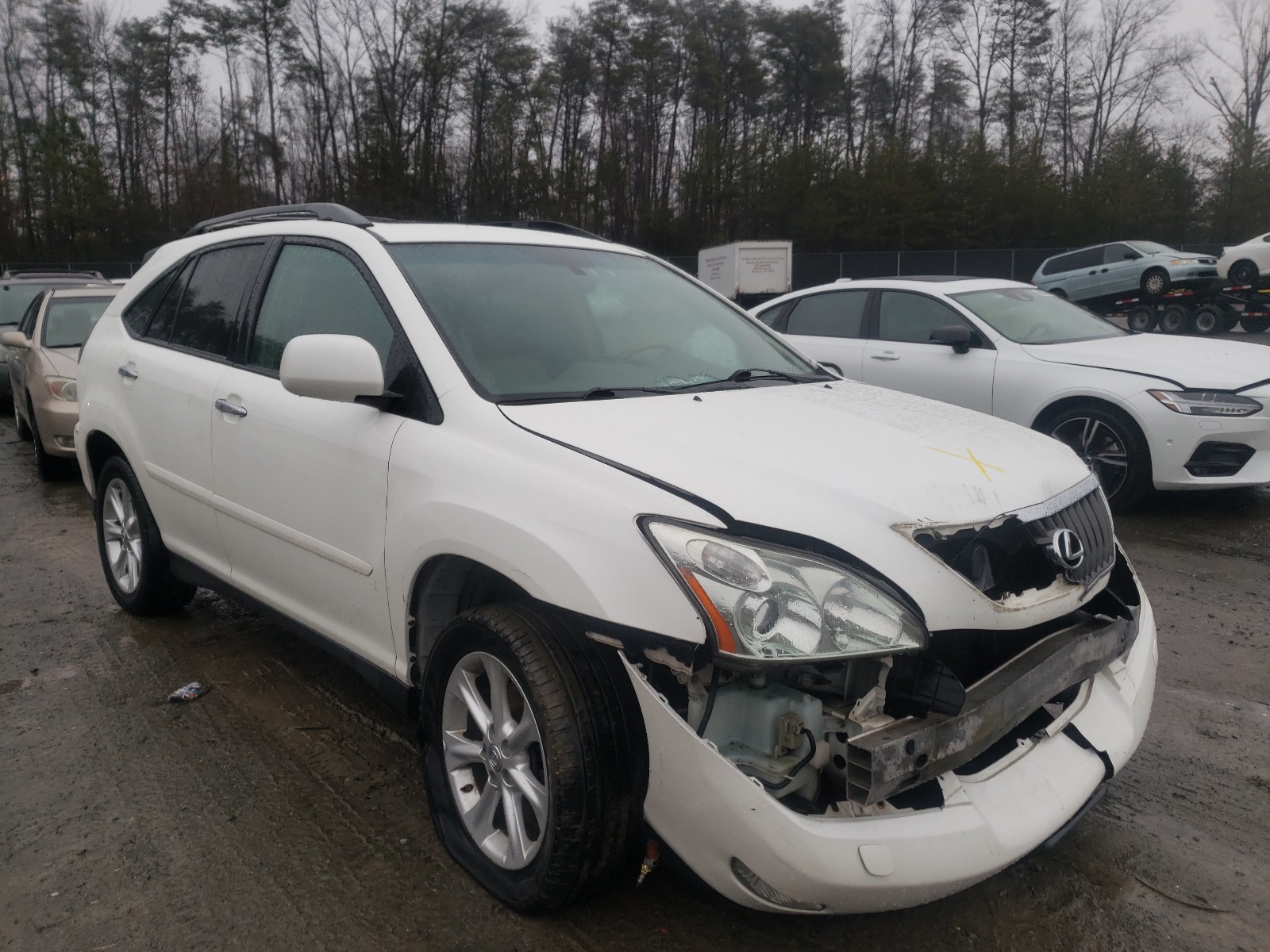 LEXUS RX 350 2009 2t2hk31u19c133767