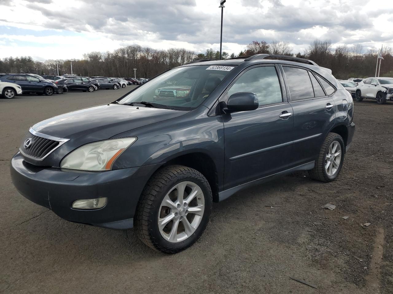 LEXUS RX 2008 2t2hk31u88c058757