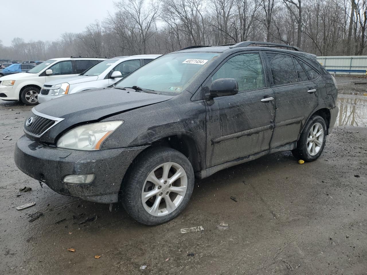 LEXUS RX 2009 2t2hk31u99c102380