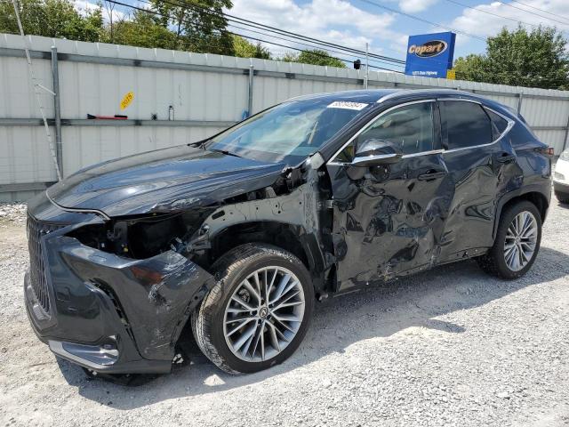 LEXUS NX 350H 2023 2t2hkcez6pc014048