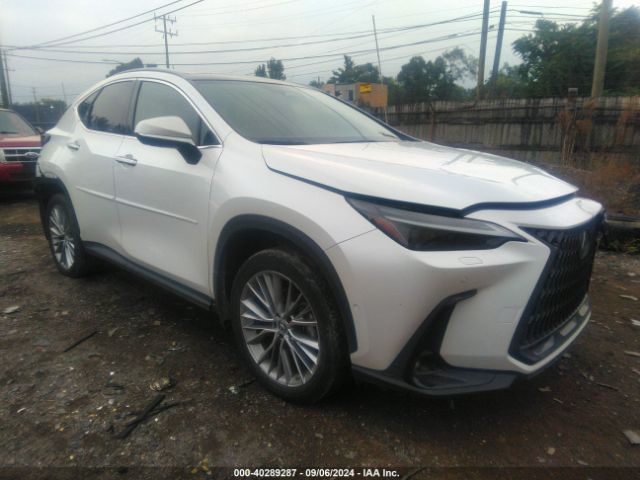 LEXUS NX 2023 2t2hkcezxpc011282