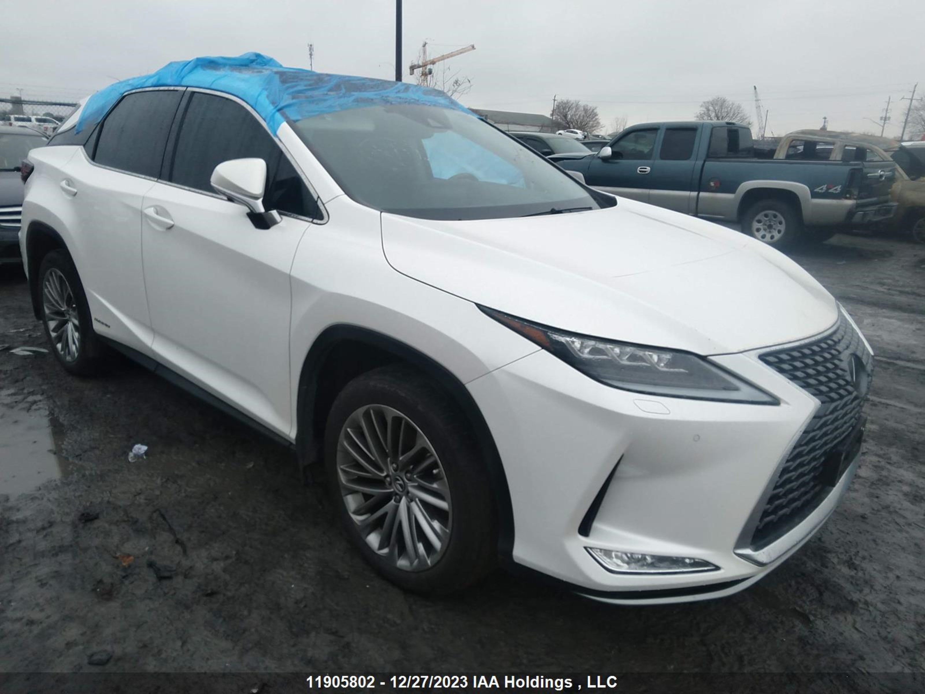 LEXUS RX 2020 2t2jgmdaxlc054048