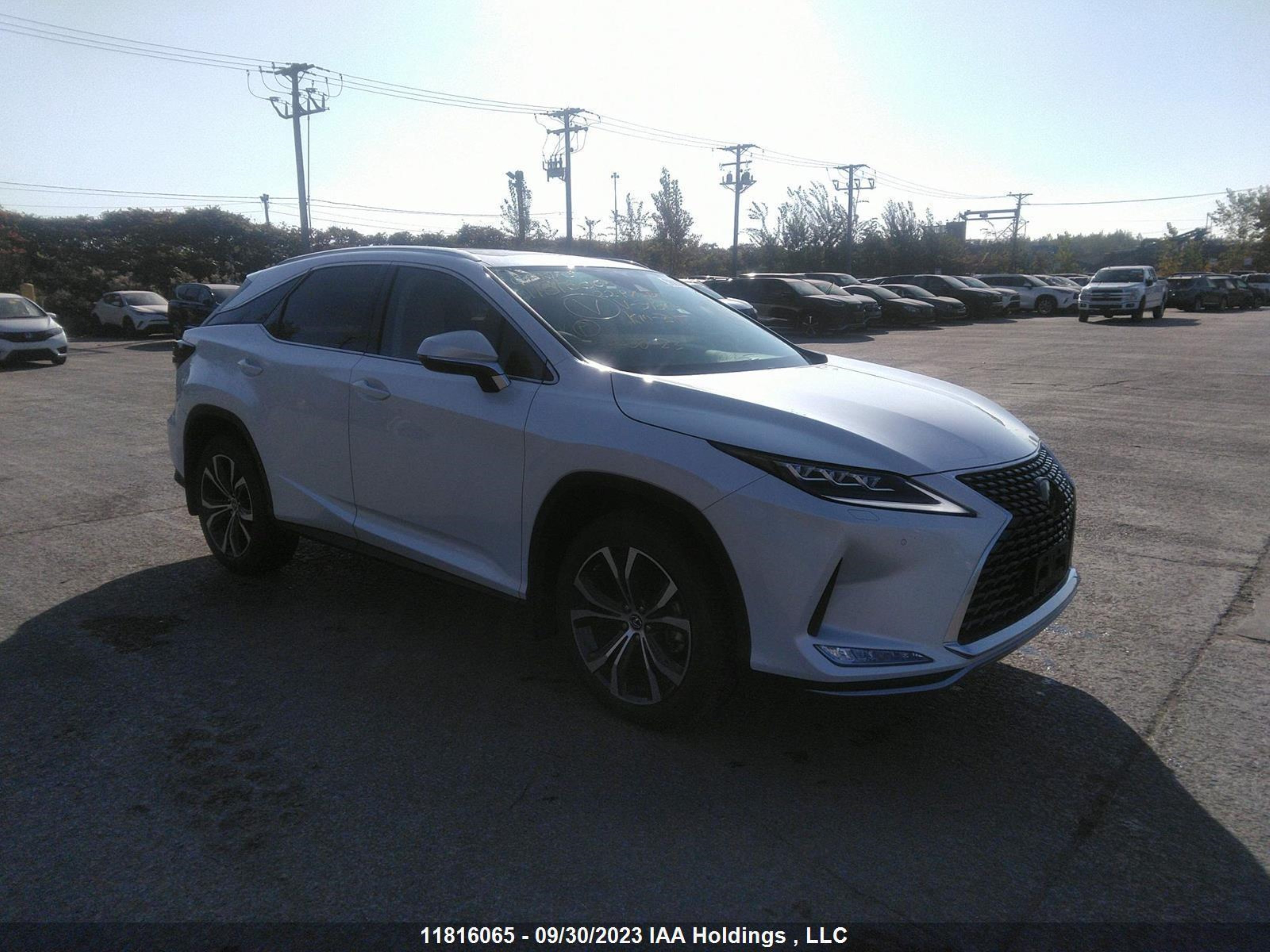 LEXUS RX 2022 2t2jzmda5nc313641