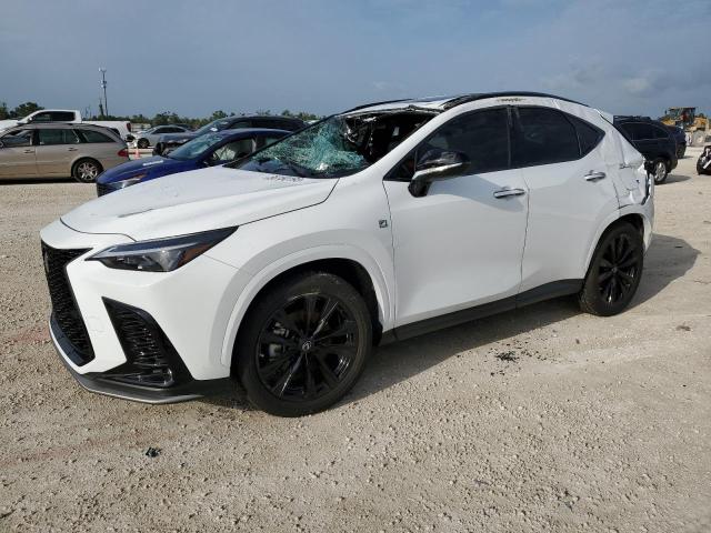 LEXUS NX 350 PRE 2023 2t2kgcez5pc016509