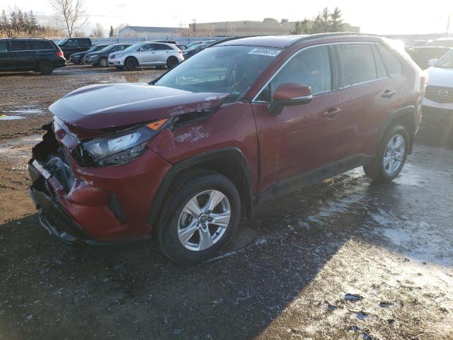 TOYOTA RAV4 LE 2019 2t3b1rfv2kw071759