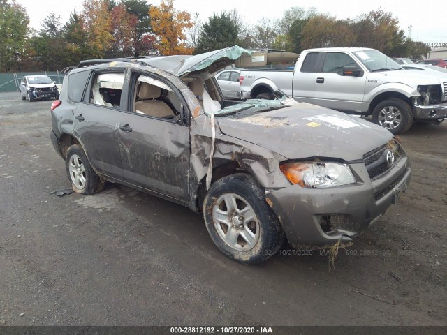 TOYOTA RAV4 2010 2t3bf4dv0aw071555