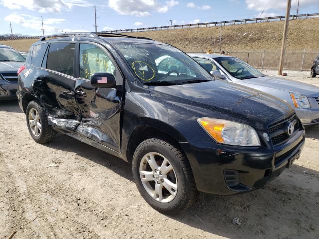 TOYOTA RAV4 2012 2t3bf4dv1cw254871