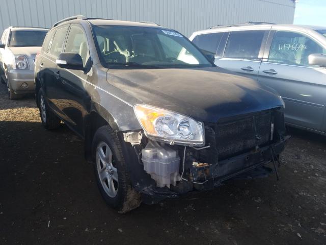 TOYOTA RAV4 2010 2t3bf4dv2aw027914