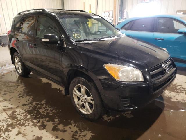 TOYOTA RAV4 2011 2t3bf4dv2bw126833