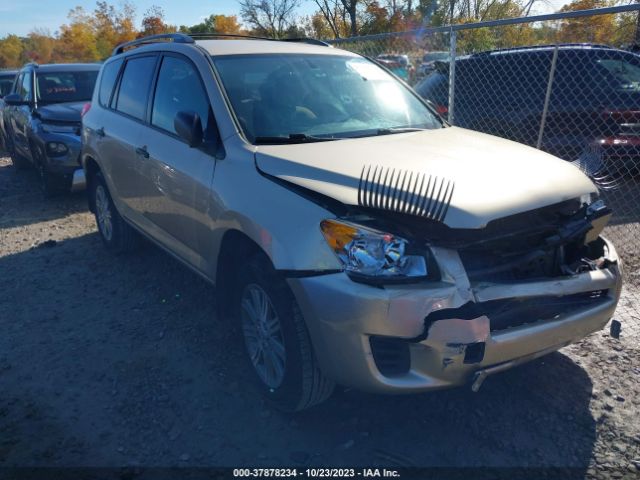 TOYOTA RAV4 2011 2t3bf4dv2bw173845