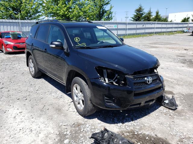 TOYOTA RAV4 2011 2t3bf4dv3bw112567