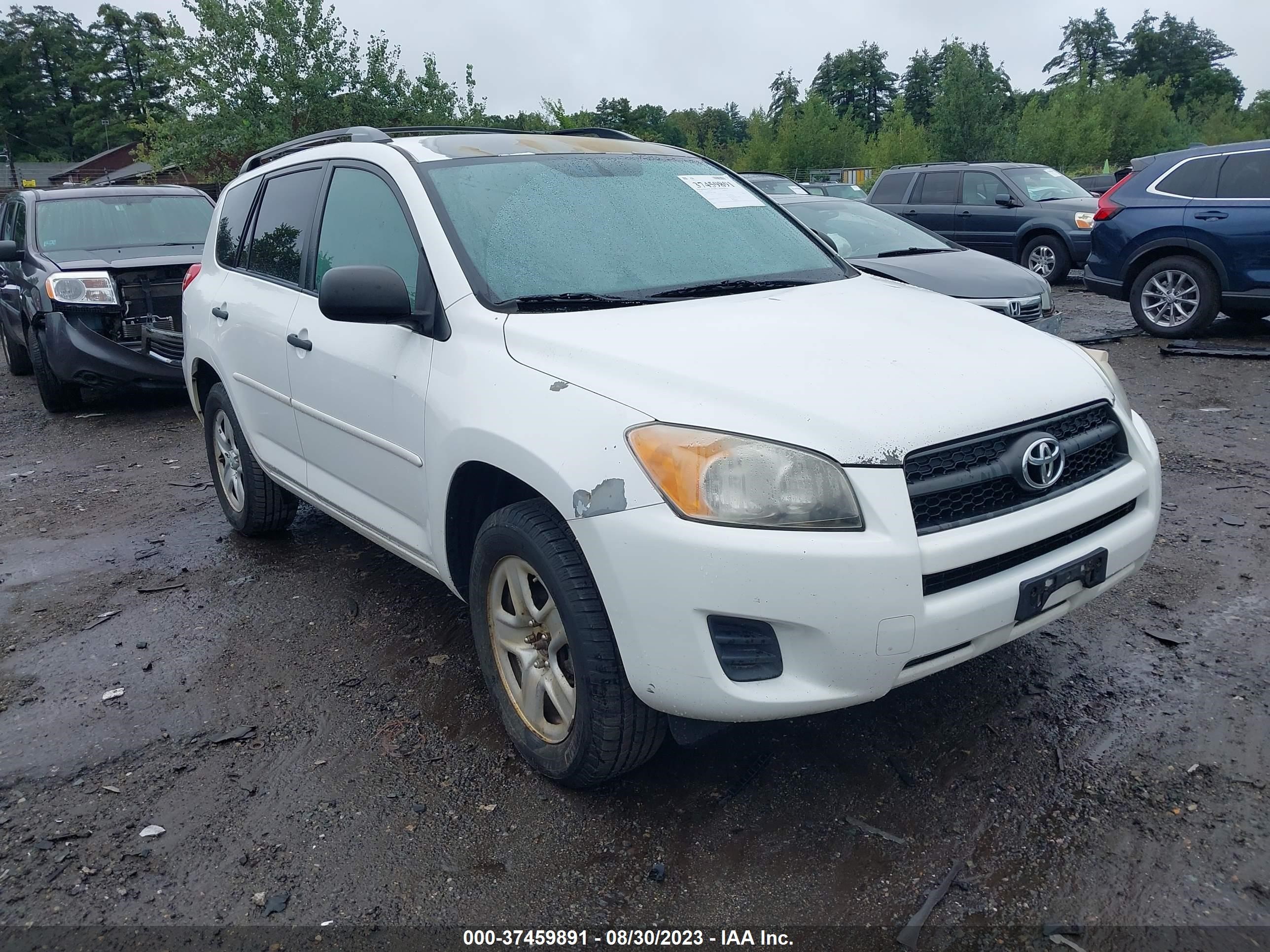 TOYOTA RAV 4 2011 2t3bf4dv3bw118949