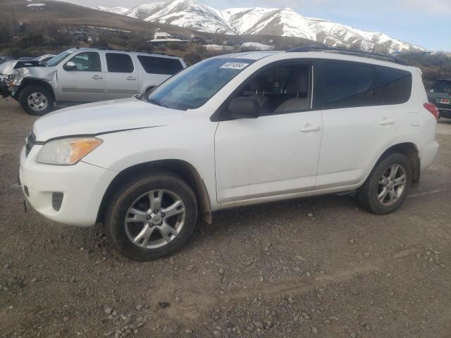 TOYOTA RAV4 2011 2t3bf4dv3bw146248