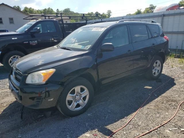 TOYOTA RAV4 2010 2t3bf4dv4aw073616