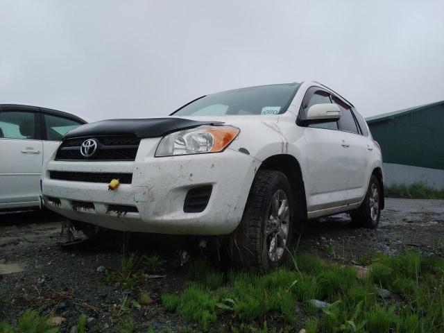 TOYOTA RAV4 2012 2t3bf4dv5cw262665