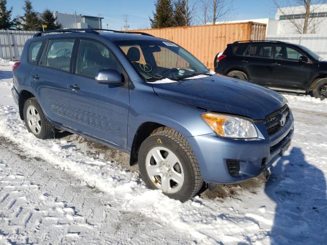 TOYOTA RAV4 2011 2t3bf4dv6bw110313