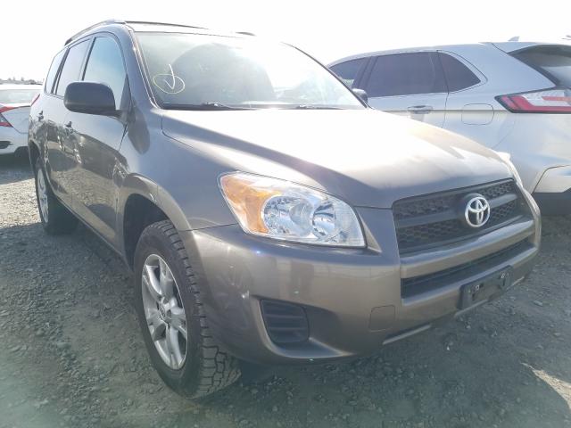 TOYOTA RAV4 2011 2t3bf4dv6bw114636