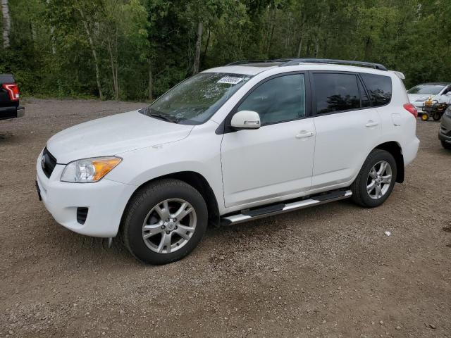 TOYOTA RAV4 2011 2t3bf4dv8bw120244