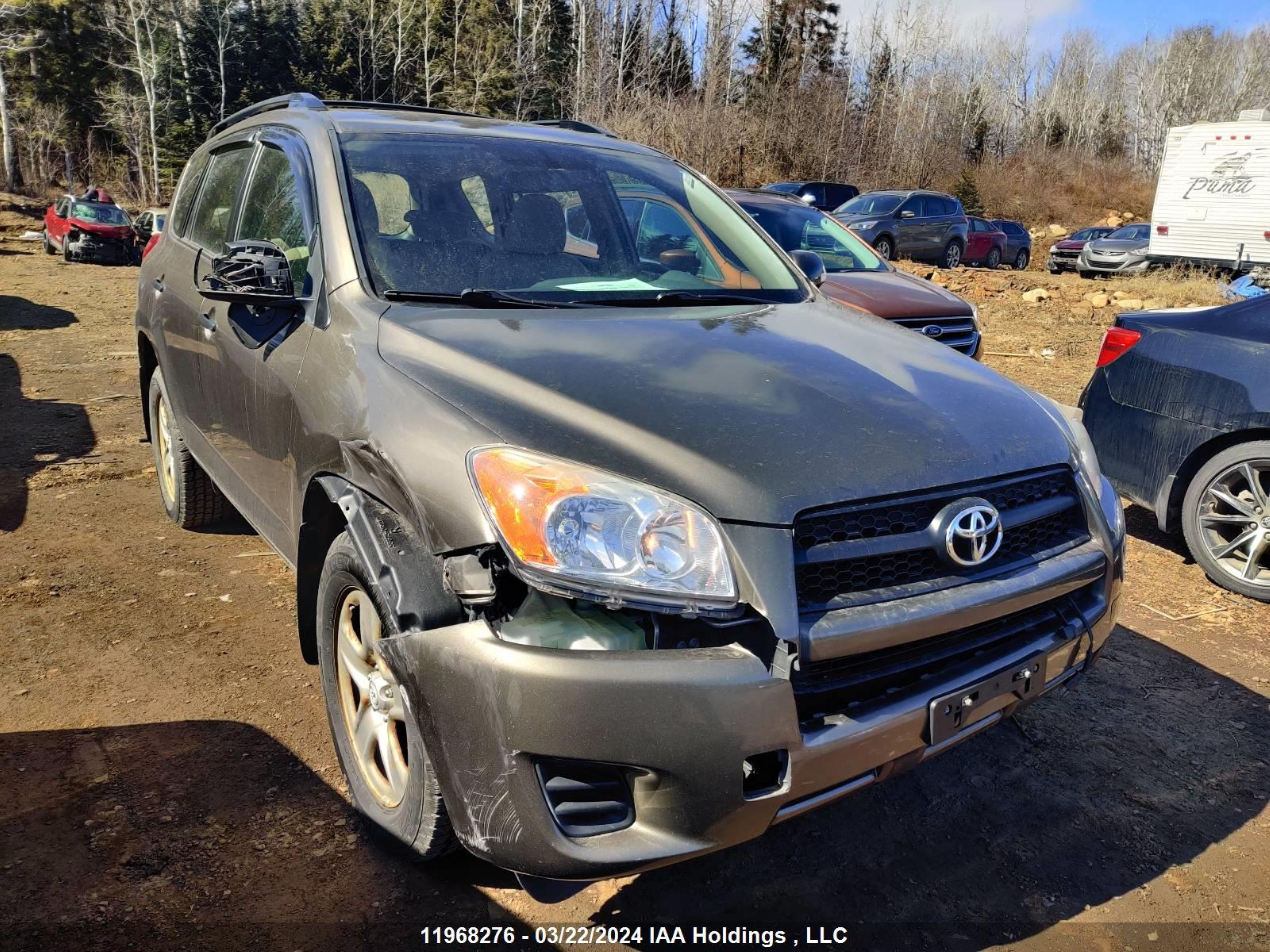 TOYOTA RAV 4 2010 2t3bf4dvxaw051958