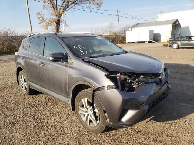 TOYOTA RAV4 LE 2016 2t3bfrev0gw420718