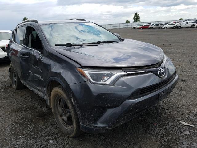 TOYOTA RAV4 LE 2016 2t3bfrev0gw483043