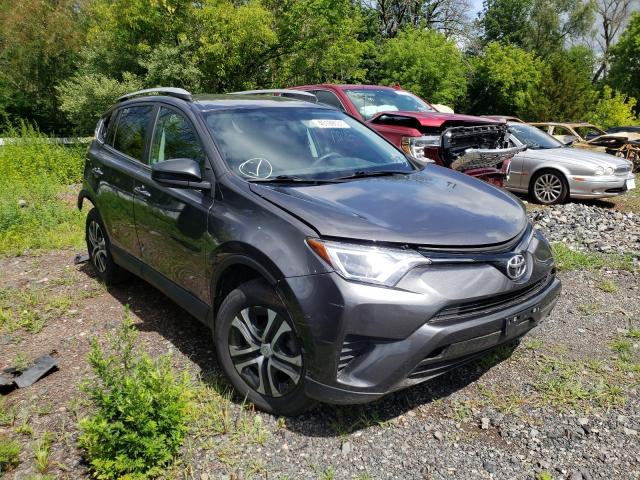 TOYOTA RAV4 LE 2016 2t3bfrev0gw531673