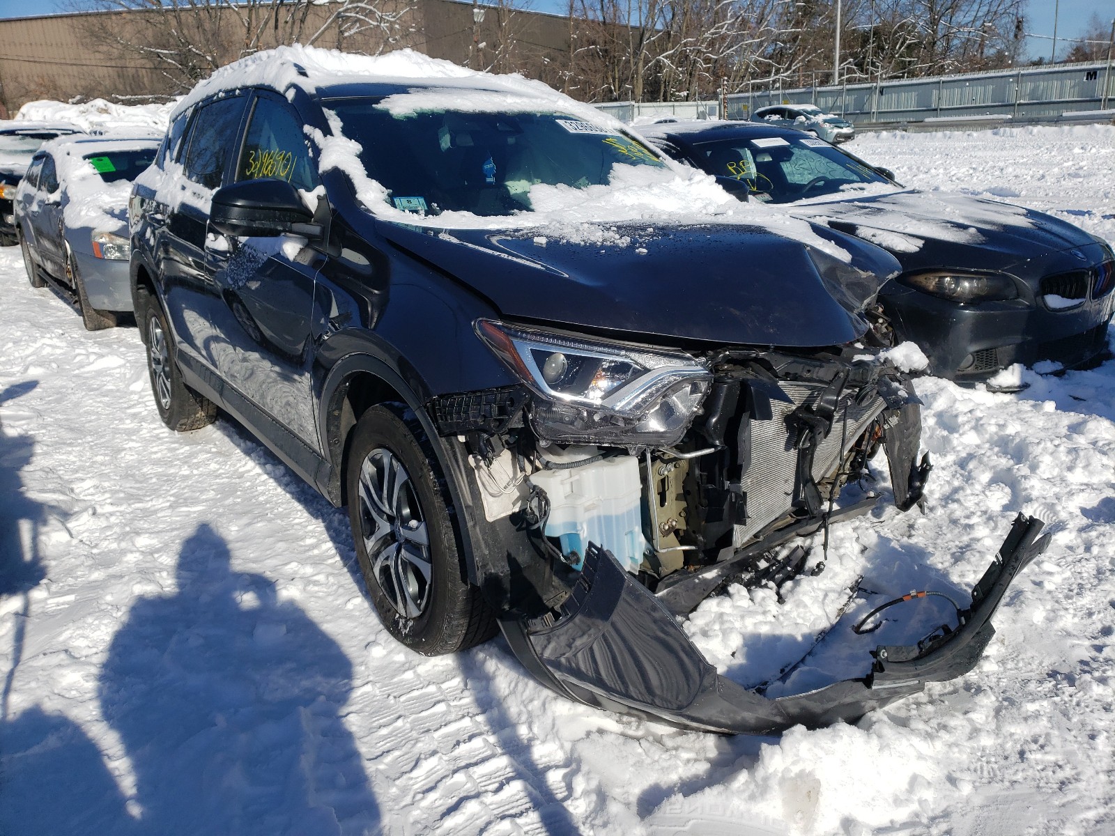 TOYOTA RAV4 LE 2017 2t3bfrev0hw586657