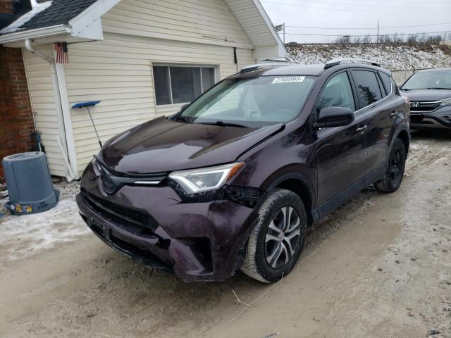 TOYOTA RAV4 LE 2016 2t3bfrev1gw451492