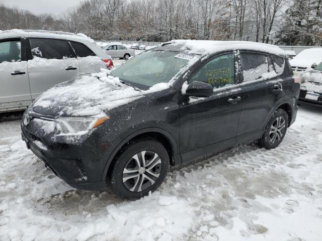 TOYOTA RAV4 LE 2016 2t3bfrev2gw426858