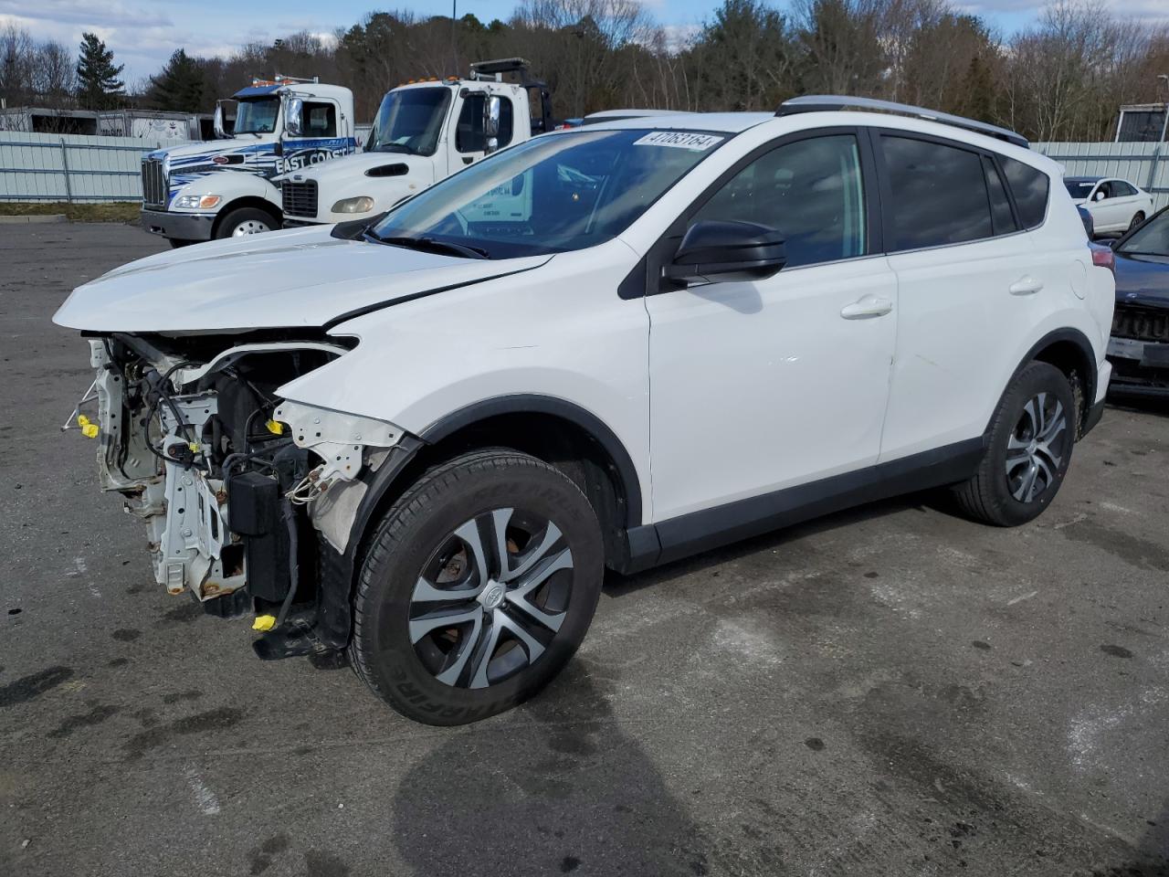 TOYOTA RAV 4 2016 2t3bfrev2gw512445