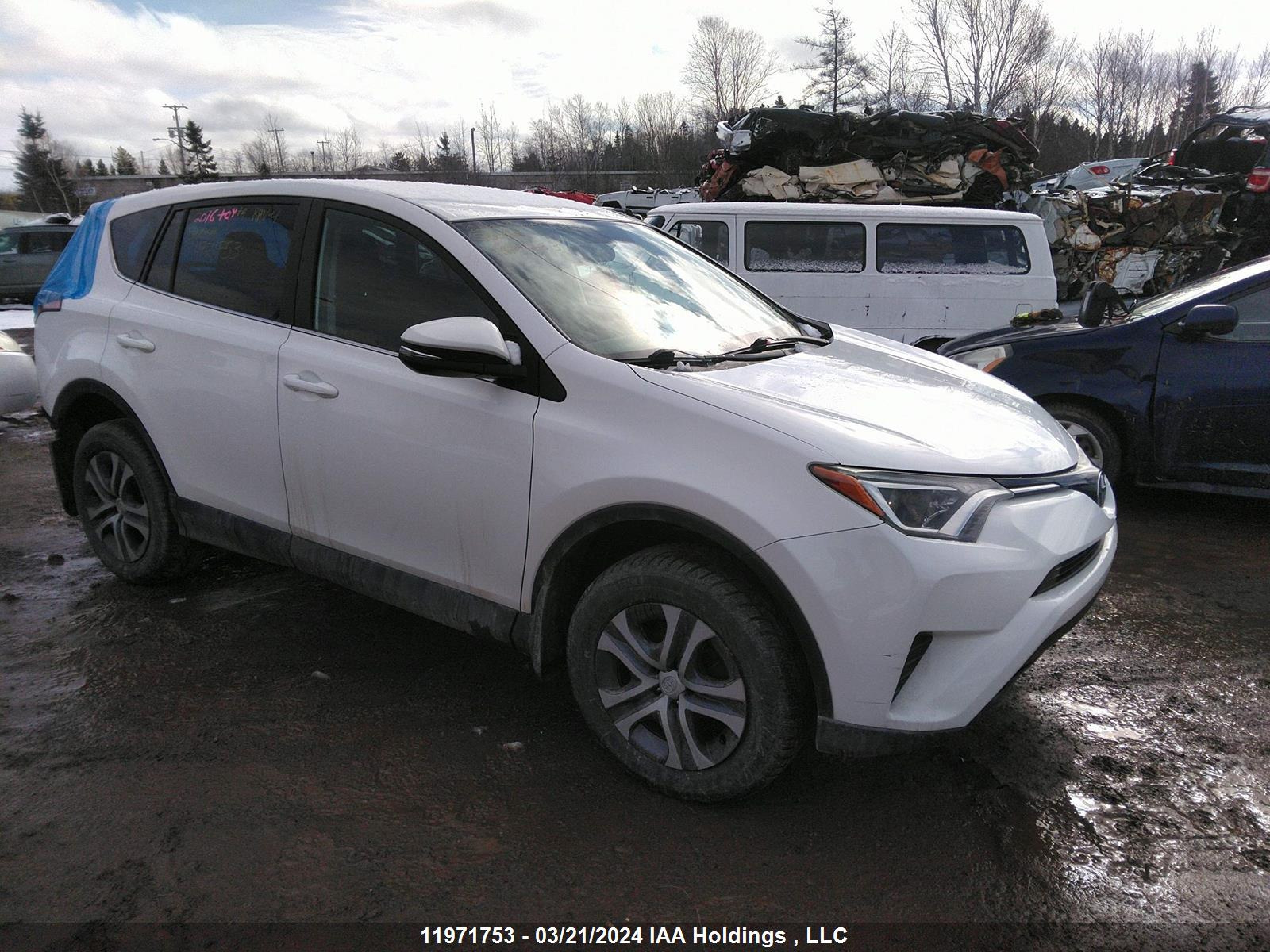 TOYOTA RAV 4 2016 2t3bfrev2gw537426