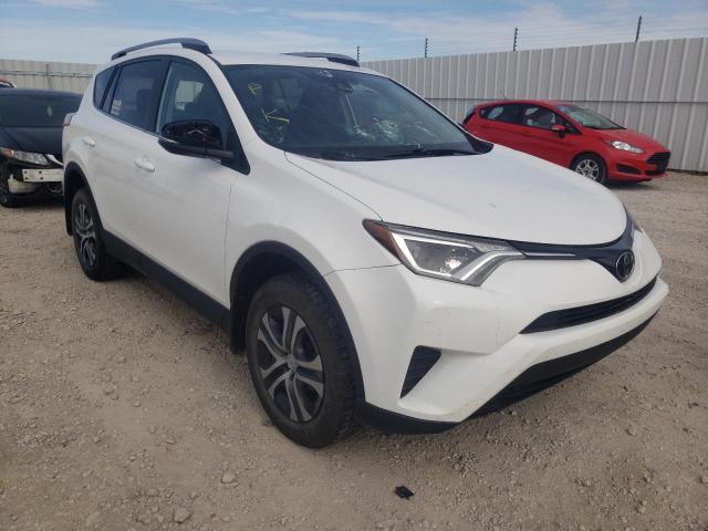 TOYOTA RAV4 LE 2017 2t3bfrev3hw656233