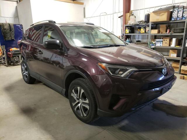 TOYOTA RAV4 LE 2018 2t3bfrev3jw829125